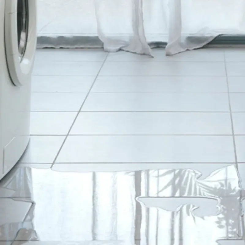 Appliance Leak Cleanup in Virginia Beach, VA