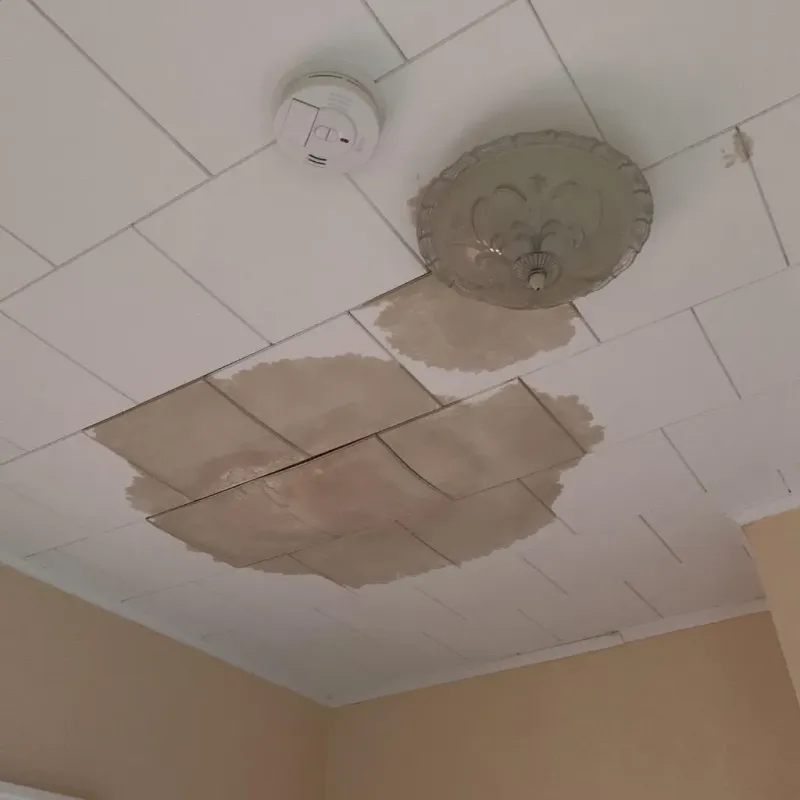 Ceiling Water Damage Repair in Virginia Beach, VA